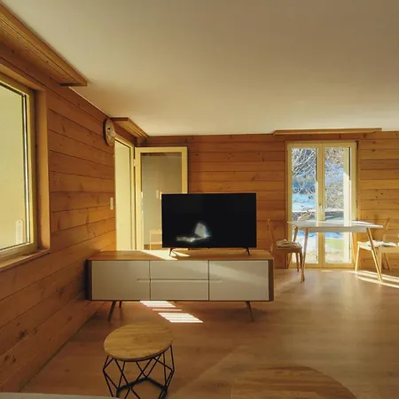 Aletsch Arena - 2 公寓